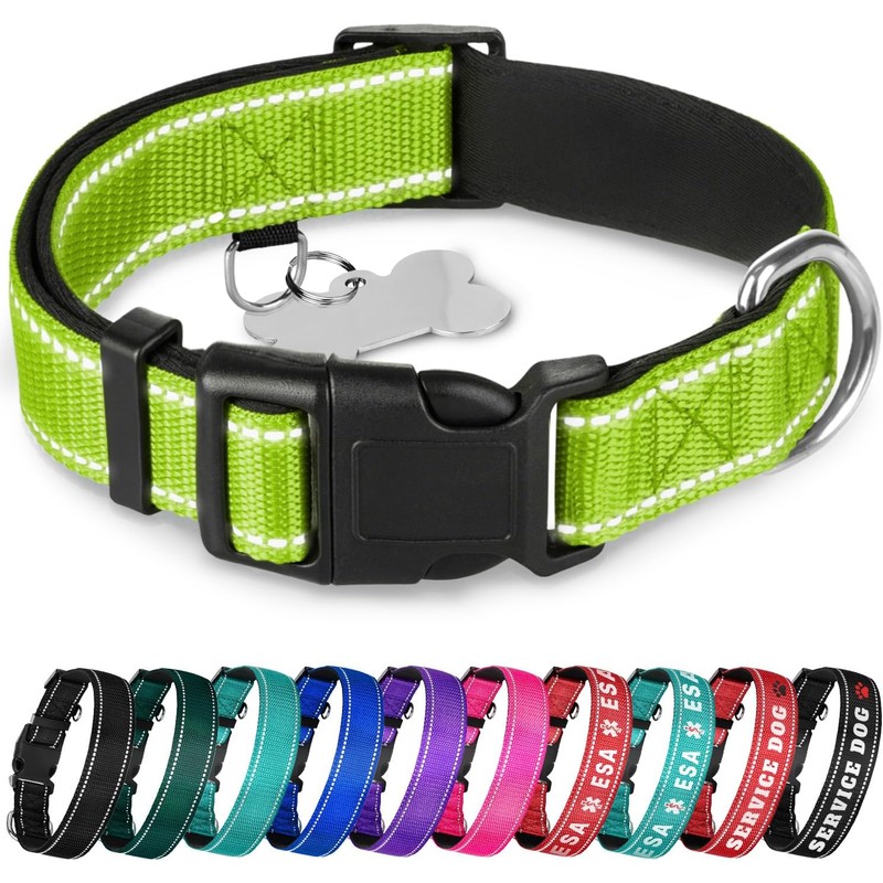 TECEUM - Collar para perro azul cielo - Collar para