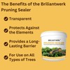 Briliantwerk 28 oz Transparent Tree Pruning Sealer - Tree Wound