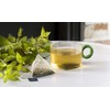 REVOLUTION TEA® Southern Mint [THE ORIGINAL] – Oregon Spearmint &