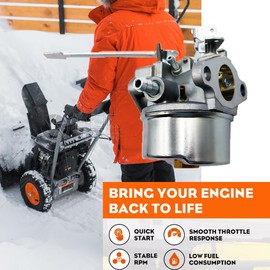 LIZAPUS Carburetor for MTD Yard Machines 31A-240-762 31AE160-062 317E150-302 31A-240-752 31AS250-800 Snow Blower Replacement Carb