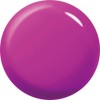 para gel AR22 Pure Magenta Color Gel 0.2 oz (4