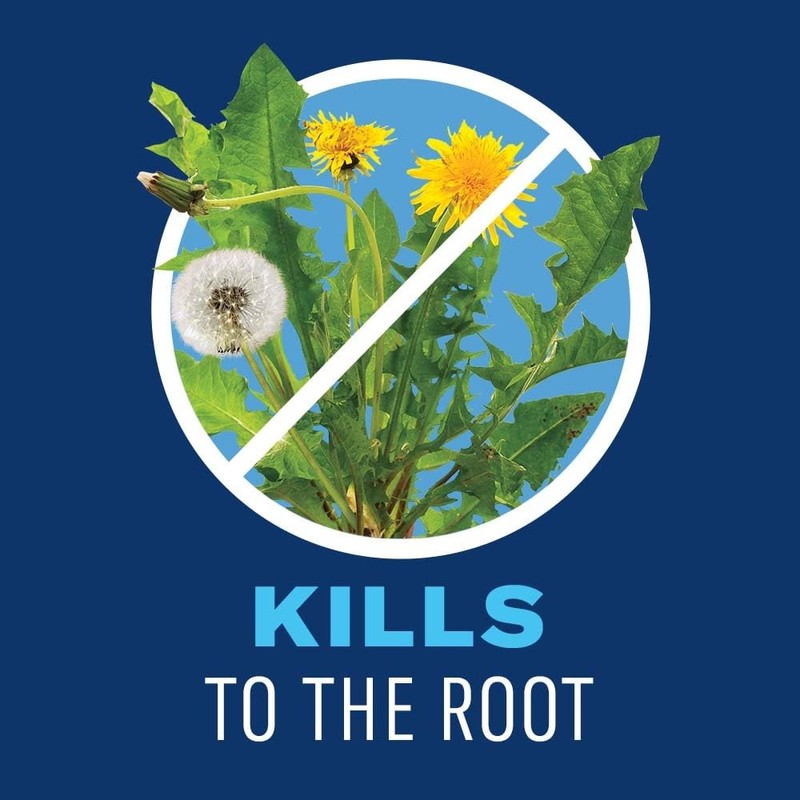 BioAdvanced Lawn Weed Killer Concentrate, Broadleaf Formula, 32 oz