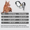 wintchuk Gentle Dog Head Collar with Soft Nylon, No-Pull Padded