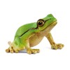 schleich 14882 European Tree Frog, from 3 years WILD LIFE