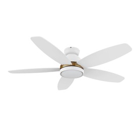 Carro 48" Ceiling Fan with Light Flush Mount, DC 10 Speeds Silent Ceiling Fan with Remote, 3 Light Colors Dimmable LED, Low Profile for Living Room, White Gold