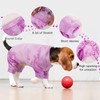Hjumarayan Dog Recovery Suit for After Surgery Female Male, Soft