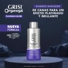 2 Shampoo Grisi Organogal Silver Canas Platinadas 400ml