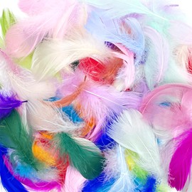 400pcs Feathers for Crafting，Craft Feathers，Feather，Craft Supplies，Feathers for Crafts