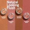 Physicians Formula Powder Palette Blush, Blushing Natural, 0.17 Ounce