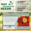 Outsidepride 1000 Seeds Annual Zinnia Elegans Lava Lamp Flower Seed