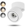 LED Ceiling Spotlight Dimmable12W 3CCT 3000K/4000K/5000K Adjustable spotlight ceiling light