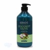 Coconut Olive Shampoo 800ml Hair Shampoo Scalp Care Options /