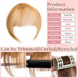 Clip in Bangs 100% Real Human Hair Extensions for Women French Bangs Fake Bangs Clip on Bangs Faux Hair extensions Fringe with Temples (Blonde)