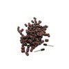 TEMO 100 pc 1/4 Inch Sand Drum Grit 60 Coarse