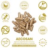 Powerful Detox for Liver and Colon, Removes Toxins and Prevents