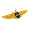 Airlines Pilot Wings Captains Badge Wing Pin