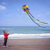 Huge Rainbow Soft Octopus Kite for Kids and Audlts- Large