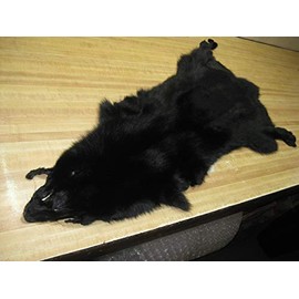 Blue Fox Dyed Black # 1 Quality