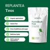 Mint Green Tea Organic Marrakech Mint 90g (45 Cups) |