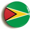 Ozorath GUYANA GUYANESE NATIONAL FLAG BUTTON BADGE (1inch / 25mm