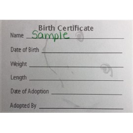 Unbranded BEAUTIFUL Reborn Baby Birth Certificate Card Stock 5x7 ~REBORN DOLL SUPPLIES