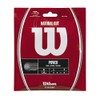 Wilson WRZ999800 Tennis String, Single, Brocade Kei Natural GUT 16