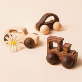 3PCS Wooden Baby Toys,Baby Grasping Toys Push Car Toys Montessori Toys Wooden Toy Vehicles,#2