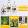 joonnair 5 m DIY Metal Hanging Chain with 10 Eye