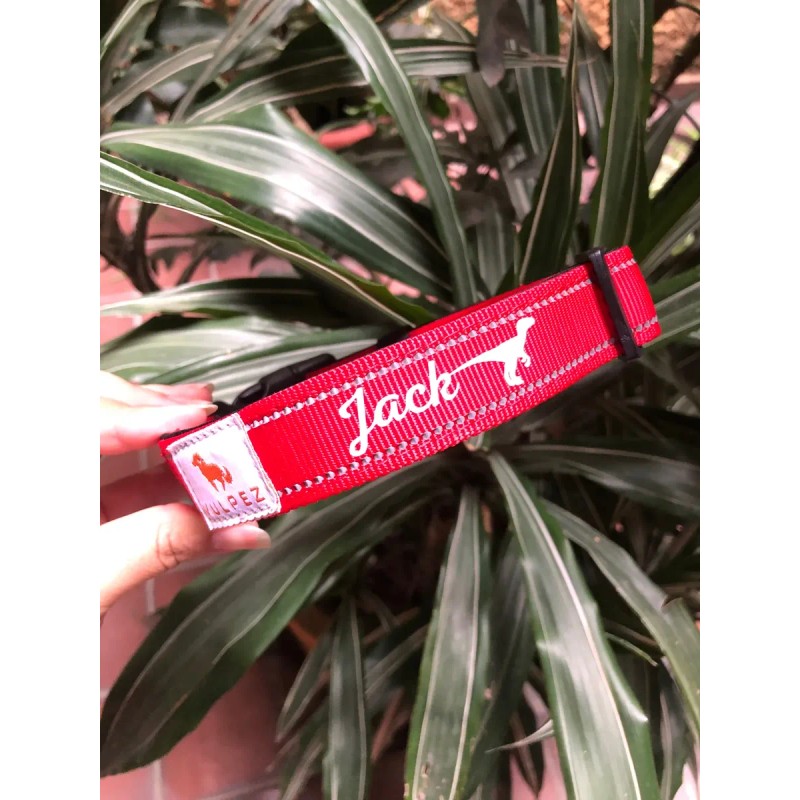 Vulpez Collar Perro Personalizable Ajustable Colores Gato