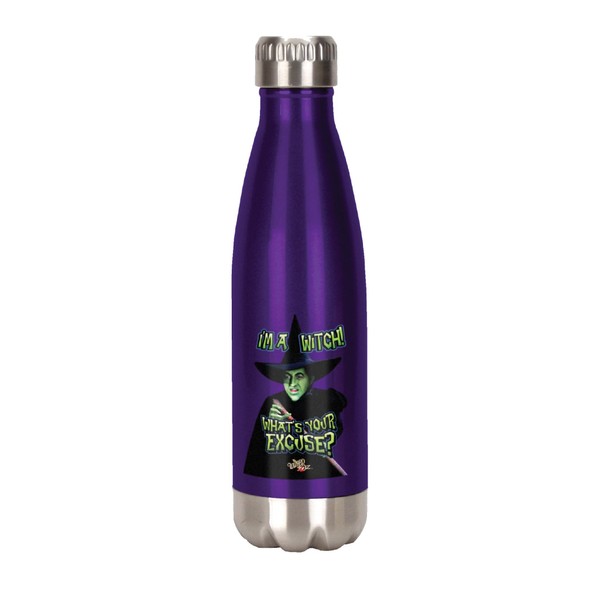 Spoontiques Witch Stainless Steel Water Bottle, 18 ounces, Purple