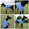Lovelonglong Dog Sweater - Cold Weather Pullover for Small to