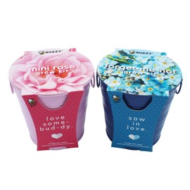 Buzzy Seeds Painted Love Pails | Flower Starter Kit for Kids & Adults | 2-Pack | Mini Rose and Forget-Me-Not Seeds | Guaranteed to Grow | Best Indoor Grow Your Own Plant Gardening Gift