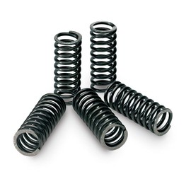 Pro Circuit Clutch Spring Set For 19-23 KAWASAKI KX450