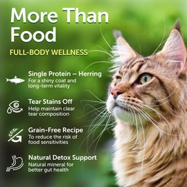 Nature's Protection Superior Care Red Cats Grain Free Dry Cat Food with Herring, Adult All Breeds Red Coated Cats, No Tear Stains, No Hairball 3.3 lb