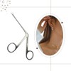 Stainless Steel Ear Picking Pliers, 8.5cm, for Ear Cleaning