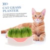 Totority 3 pcs Hydroponic Catnip Planting Tray Soilless Cat Grass