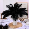 150 Pcs Natural Ostrich Feathers Plumes for Centerpieces 12-14 Inch