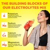 Keto Vitals Electrolitos en polvo Electrolitos aptos para dietas cetogénicas