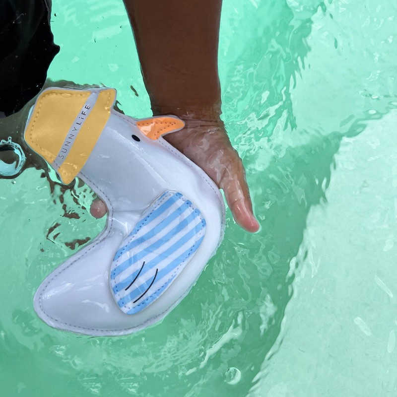 Dive Buddies | Sammy the Seagull Multi