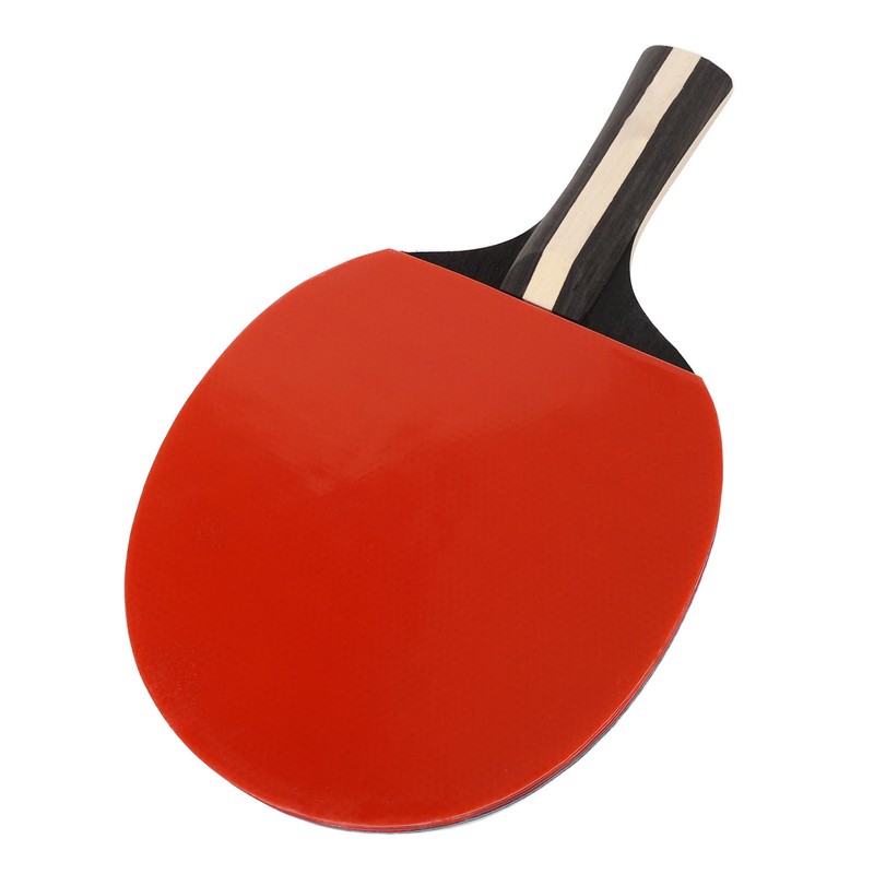 REGAIL Ping Pong Paddle Set Portable Table Tennis Set With