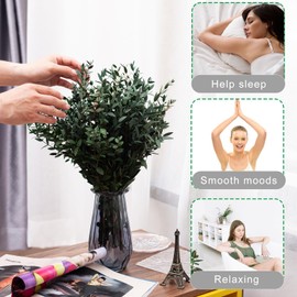 MIHUAGE Large Dried Eucalyptus Stems - Real Preserved Fresh Eucalyptus Plant for Arrangement, Wedding, Home Décor,Shower, 30+ PCS 17'' 8oz(Natural Green)