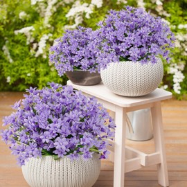 SOMYTING 8 Bundles Artificial Daffodils Flowers Outdoor UV Resistant Fake Flowers Faux Flowers Shrubs for Indoor Outside Garden Porch Window Box Home Office Wedding Decor (Purple, 8PCS)