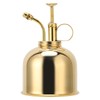 Professional Stainless Steel Watering Can with Top Pump for Succulent