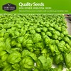 Hydroponics Herb Seed Collection for Planting - Curled Parsley, Sage,