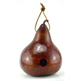 Gourd Birdhouse Mahogany