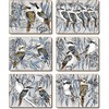 Cinnamon Kookaburra Laugh Coasters 6 Pieces Set