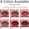 Labial Mate 6 Piezas Pintalabios Lápiz Labial Pinta Labios Juego