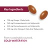 Bariatric Advantage Bariatric Advantage Omega-3 300 EPA DHA Fish Oil