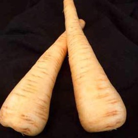 All American Parsnip Seeds - 1/4 LB ~20,000 Seeds - Non-GMO, Heirloom Vegetable Gardening Seeds - Open Pollinated