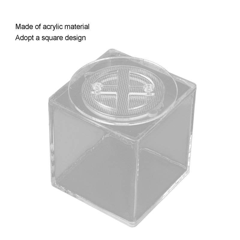 Square Insect Breeding Box Cricket Spider Reptile Insect Square Acrylic